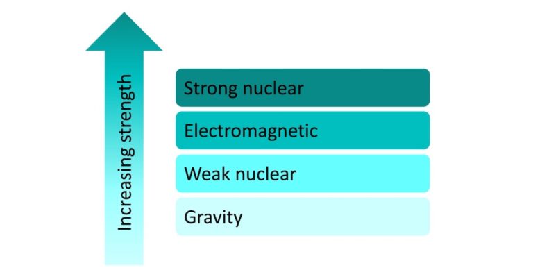 what are the 5 main forces in science
