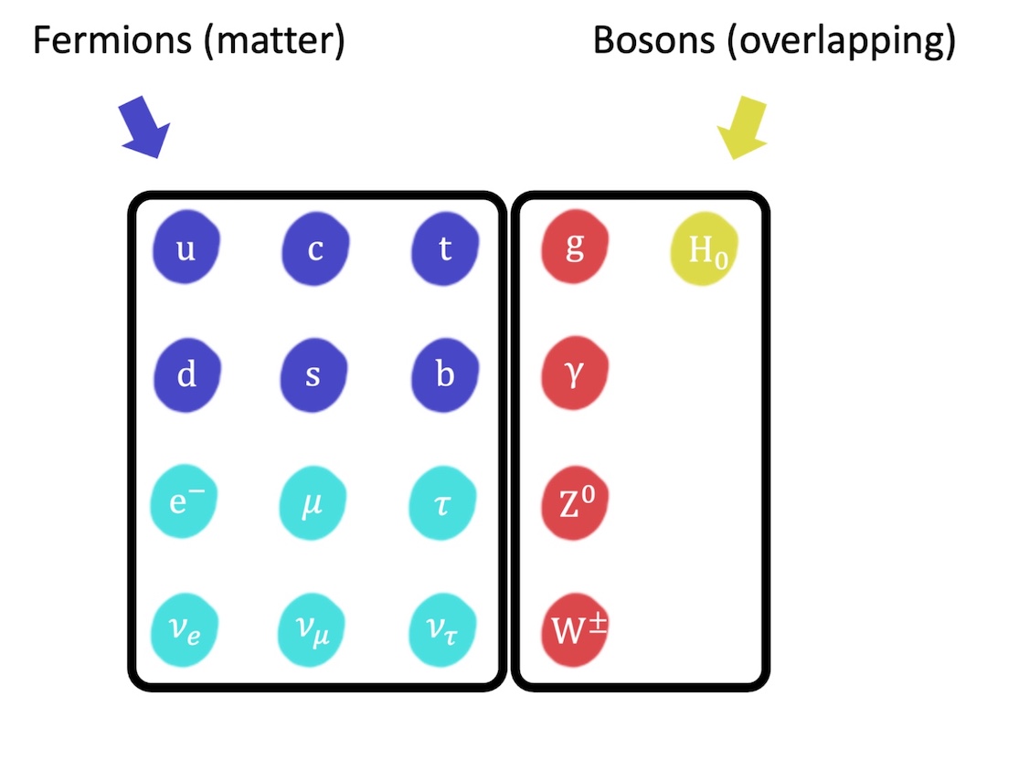 Particles & the Standard Model for A Level Physics - Science Sanctuary